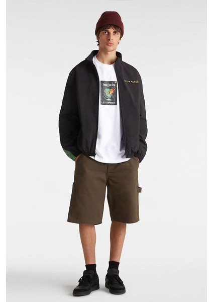 Paperback Writer fiyatları