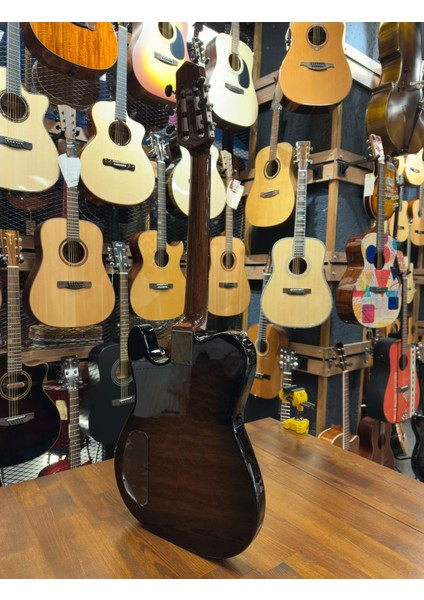 PSA-200 Ince Kasa Elektro Akustik Gitar modelleri