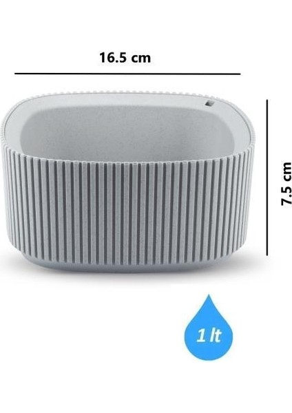 KRS-247 Pera Dekoratif Aranjman Kaktus Sukulent Saksı 1 Litre No 1