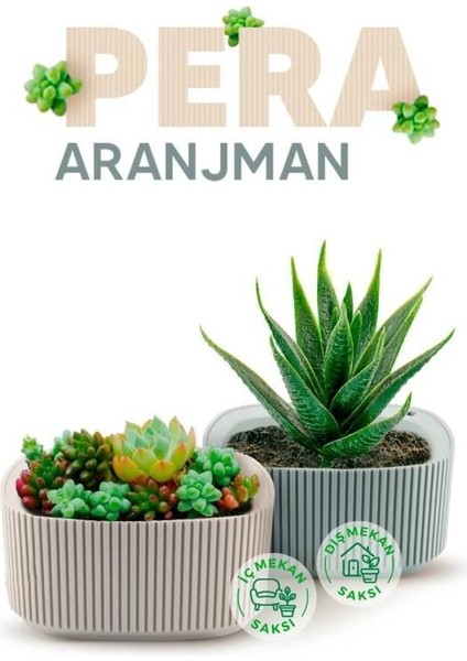 KRS-247 Pera Dekoratif Aranjman Kaktus Sukulent Saksı 1 Litre No 1