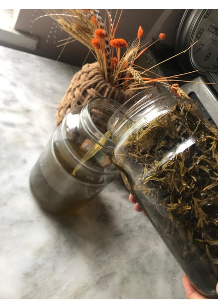 Kekik Yağı fiyatları