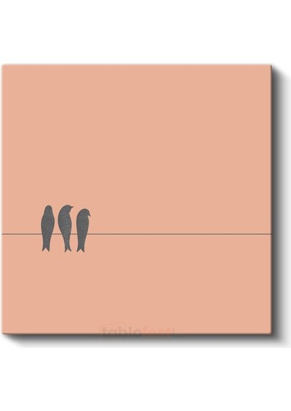 Kuş Dostlar - Minimalist Tel Üstünde Kuşlar Kanvas Tablo