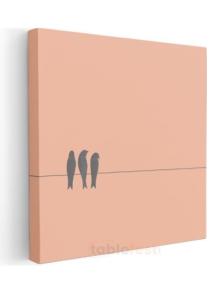 Kuş Dostlar - Minimalist Tel Üstünde Kuşlar Kanvas Tablo