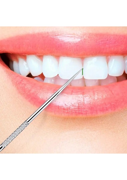 Paslanmaz Çelik Ağız Temizlik Bakım Seti 6 Parça fiyatları