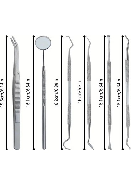 Paslanmaz Çelik Ağız Temizlik Bakım Seti 6 Parça