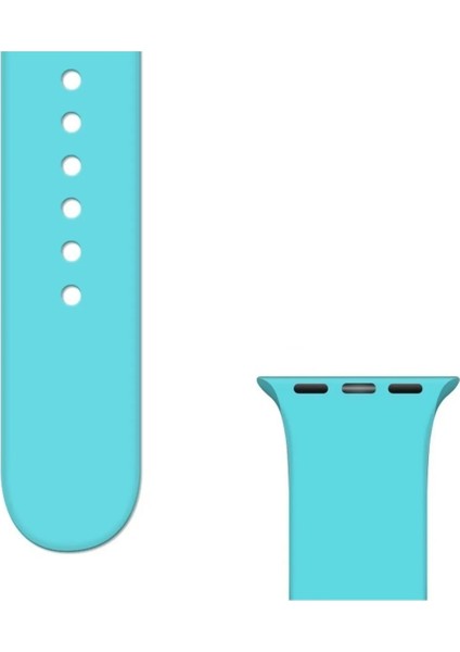 Apple Watch Serisi 1 2 3 4 5 6 7 Se 8 9 10 Uyumlu Kordon 38MM/40MM/41MM Silikon Spor Kayış modelleri
