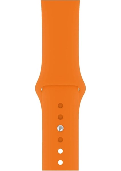 Apple Watch Serisi 1 2 3 4 5 6 7 Se 8 9 10 Uyumlu Kordon 38MM/40MM/41MM Silikon Spor Kayış fırsatları