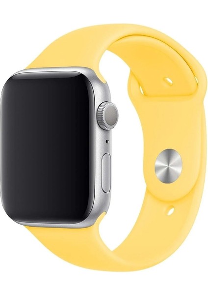 Apple Watch Serisi 1 2 3 4 5 6 7 Se 8 9 10 Uyumlu Kordon 42MM/44MM/45MM Silikon Spor Kayış