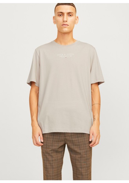 Bisiklet Yaka Bej Erkek T-Shirt 12217167_JPRBLUARCHIE Ss Tee Crew N fiyatları