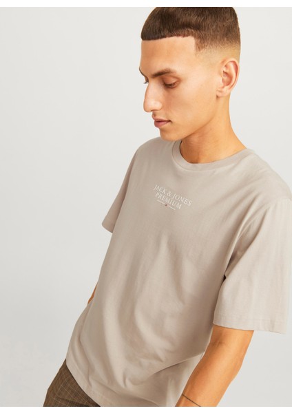 Bisiklet Yaka Bej Erkek T-Shirt 12217167_JPRBLUARCHIE Ss Tee Crew N modelleri