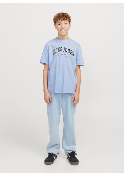 Baskılı Mavi Erkek Çocuk T-Shirt 12258924