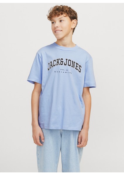 Baskılı Mavi Erkek Çocuk T-Shirt 12258924 fiyatları