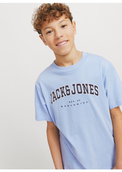 Baskılı Mavi Erkek Çocuk T-Shirt 12258924 modelleri