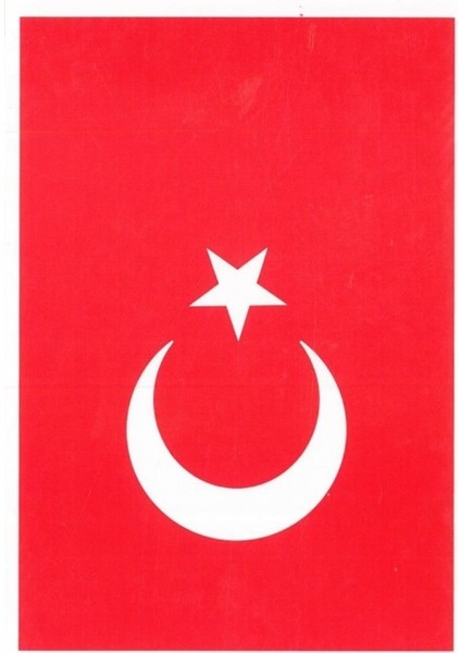 Atatürk Bayrak Çıkartma 13X18 10LU