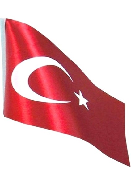 Bayrak Masa Bayrağı Raşel 15X22,5CM - 2 Adet