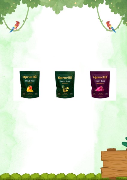 Freeze Dried 3 Lü Tropikal Paketi 3*20 gr Dondurularak Kurutulmuş Meyve Çeşitleri