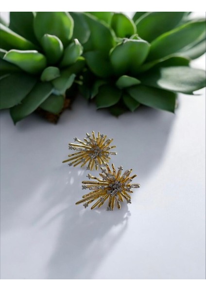 Taşlı Kuzey Yıldızı Altın Kaplama Küpe Şık Tasarım