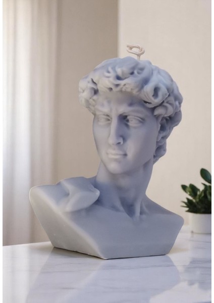 Ünlü Davut Heyleli Büyük Boy Kokulu Organik Soya Mumu