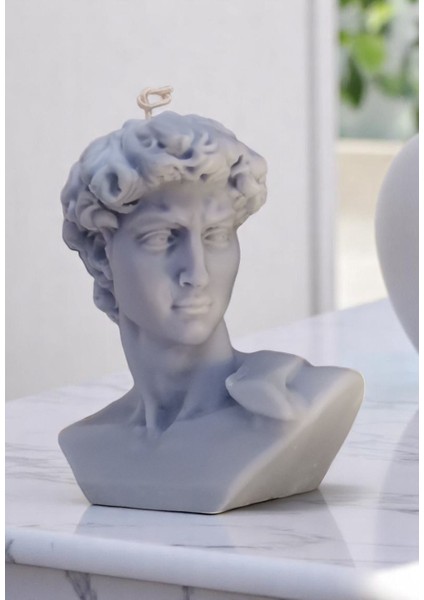 Ünlü Davut Heyleli Büyük Boy Kokulu Organik Soya Mumu fiyatları