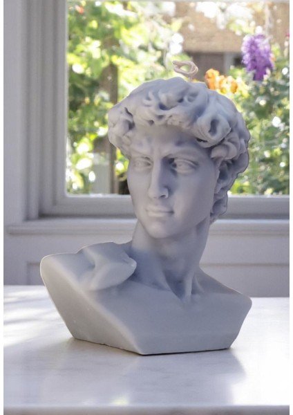 Ünlü Davut Heyleli Büyük Boy Kokulu Organik Soya Mumu fırsatları