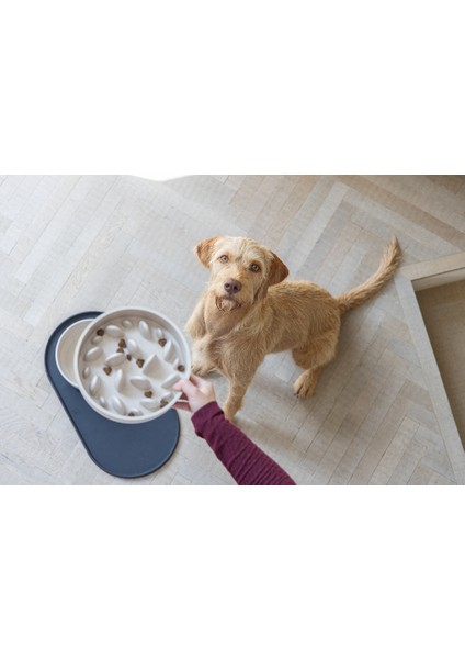 Köpek Yavaş Besleme Mama Kabı, Bambu, Bej, 21cm, 1430 ml