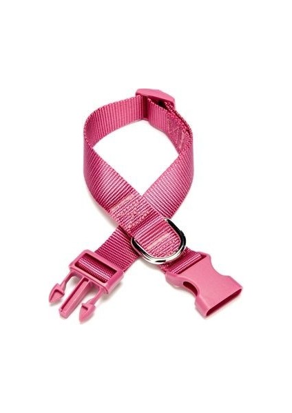 Dokuma Köpek Boyun Tasması 2 cm x 30-45 cm Mor