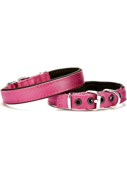 Softlu Köpek Boyun Tasması 2 cm x 40 cm Mor