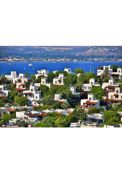 Arma Bodrum & Halikarnassos ( Dikilir )