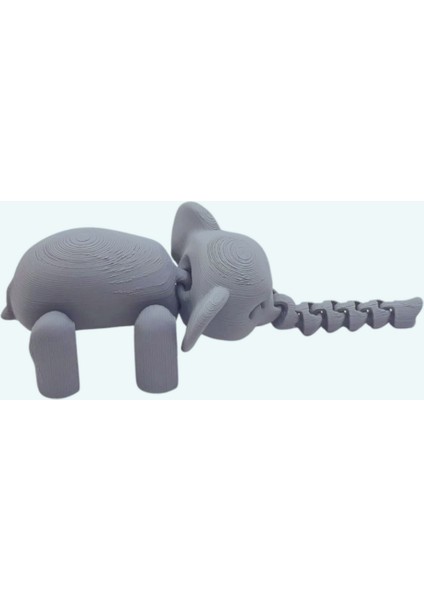 3D Hareketli Deniz Yıldızı Oyuncak