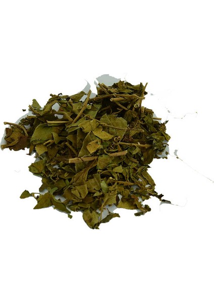 Cinnema Gurmar Otu Gymnema Sylvestr 100 gr Paket fırsatları
