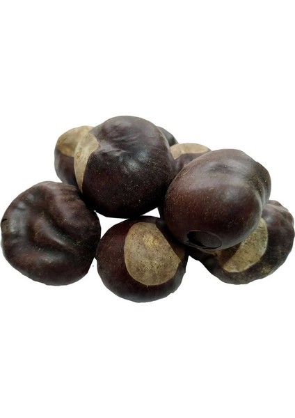 At Kestanesi Meyvesi Doğal 100 gr Paket fırsatları