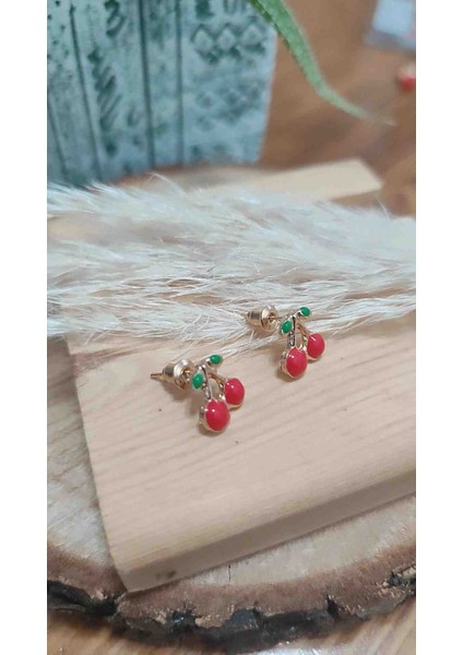 Çelik Kız Çocuk/bebek Küpesi Hediye fiyatları