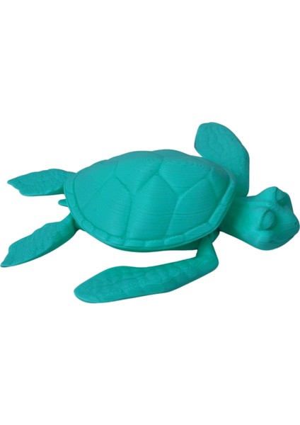 3D Hareketli Kaplumbağa Figürlü Oyuncak