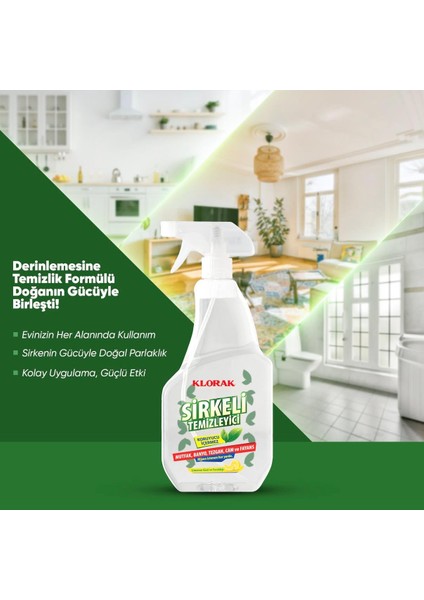 Avantajlı Bahar Temizlik Genel Temizlik Ürünleri modelleri