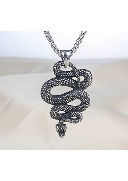 Voyageaccessory Antik Eskitme Paslanmaz Çelik Şifa Simgesi Yılan Kolye / 60 cm Zincirli fiyatları