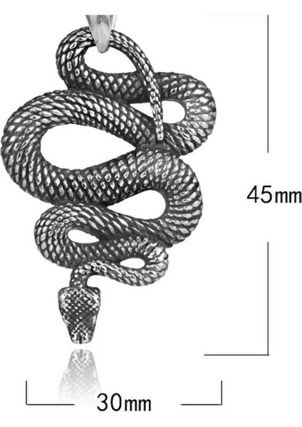 Voyageaccessory Antik Eskitme Paslanmaz Çelik Şifa Simgesi Yılan Kolye / 60 cm Zincirli fırsatları