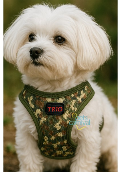 Kedi Köpek Air-mesh Göğüs Tasması Ve Gezdirme Sevk Kayışı Seti Camo 2si1 Arada