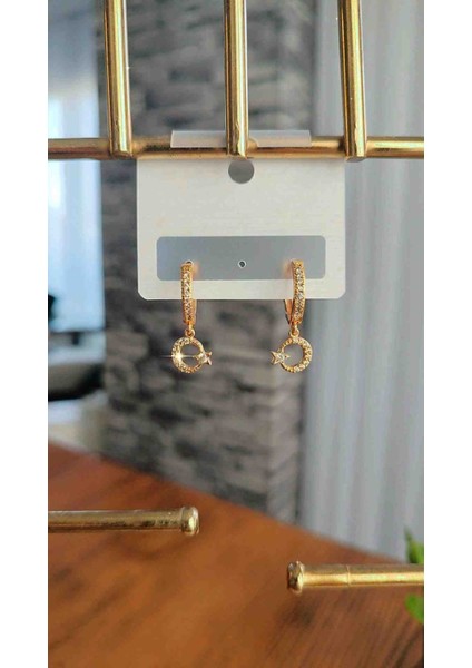 Çelik Zirkon Taşlı Ayyıldız Küpe Kız Çocuk Için Uygundur modelleri