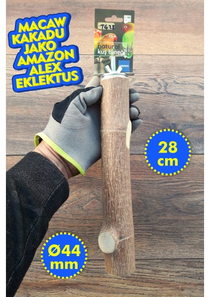 Venty 28 cm Doğal Papağan Tüneği - Kalın Tünek | Macaw, Kakadu, Jako, Amazon, Eklektus - T428