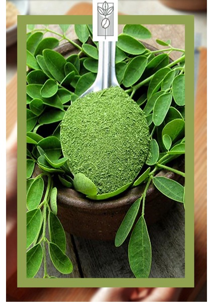 Moringa Tozu Çayı 50 gr, Premium Herbal Moringa Powder Tea ( Glutensiz, Vegan, Katkısız )