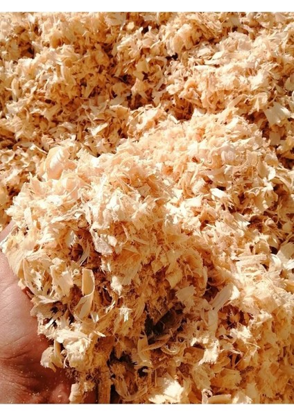 Kemirgen Altlığı Talaş 3 kg fiyatları