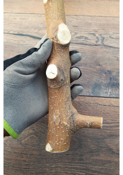 Venty 33.5 cm Doğal Papağan Tüneği | Macaw, Kakadu, Jako, Amazon, Eklektus, Alexander, Kayık - T626 fiyatları