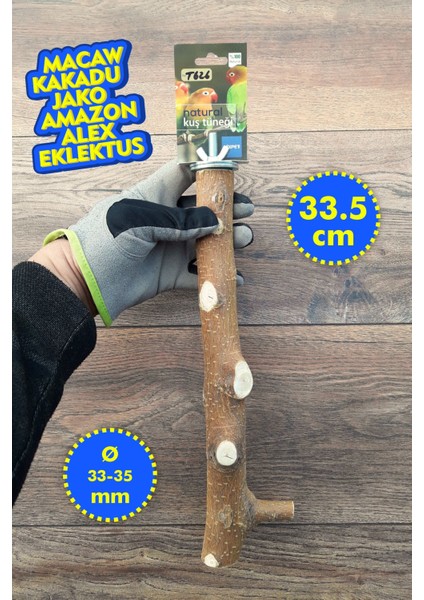 Venty 33.5 cm Doğal Papağan Tüneği | Macaw, Kakadu, Jako, Amazon, Eklektus, Alexander, Kayık - T626