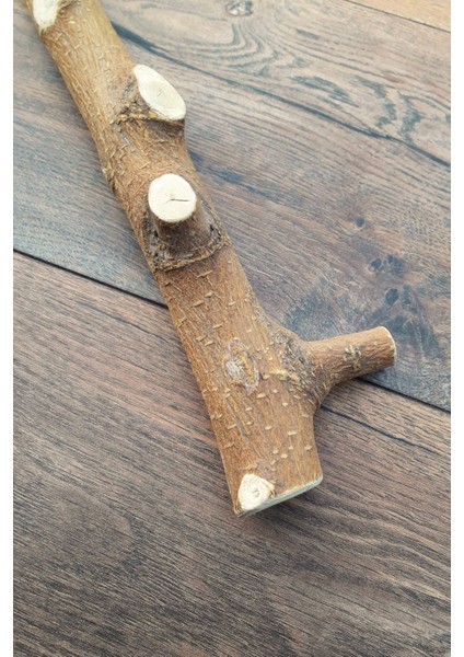 Venty 33.5 cm Doğal Papağan Tüneği | Macaw, Kakadu, Jako, Amazon, Eklektus, Alexander, Kayık - T626 fırsatları