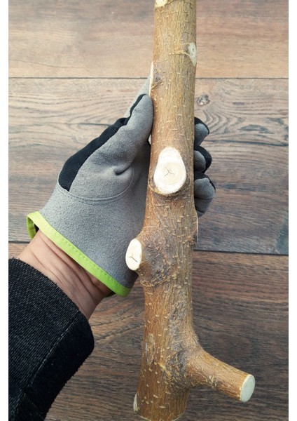 Venty 33.5 cm Doğal Papağan Tüneği | Macaw, Kakadu, Jako, Amazon, Eklektus, Alexander, Kayık - T626 indirimleri