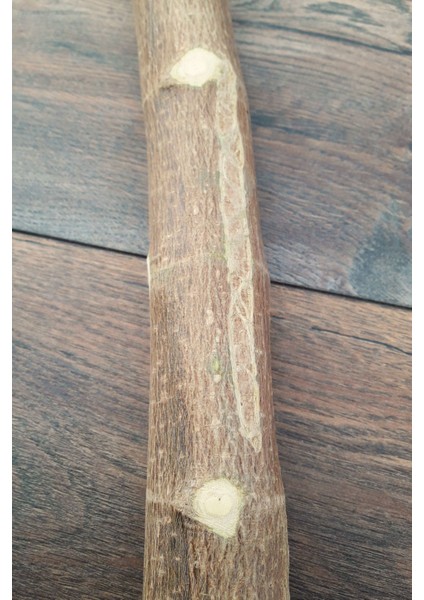 Venty 37 cm Doğal Papağan Tüneği - Kalın Büyük Tünek | Macaw, Kakadu, Jako, Amazon, Eklektus, Alexander - T411 modelleri