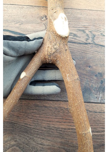 Venty 48 cm Doğal Papağan Tüneği - Dal Tünek | Sultan, Muhabbet, Monk, Lori, Senegal, Konur, Sevda, Senegal - T495 modelleri