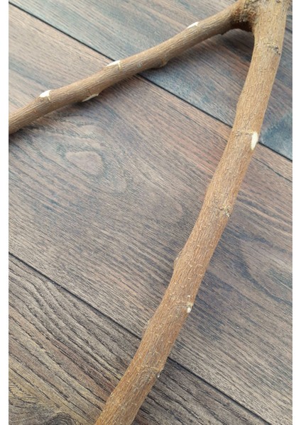 Venty 48 cm Doğal Papağan Tüneği - Dal Tünek | Sultan, Muhabbet, Monk, Lori, Senegal, Konur, Sevda, Senegal - T495 fırsatları