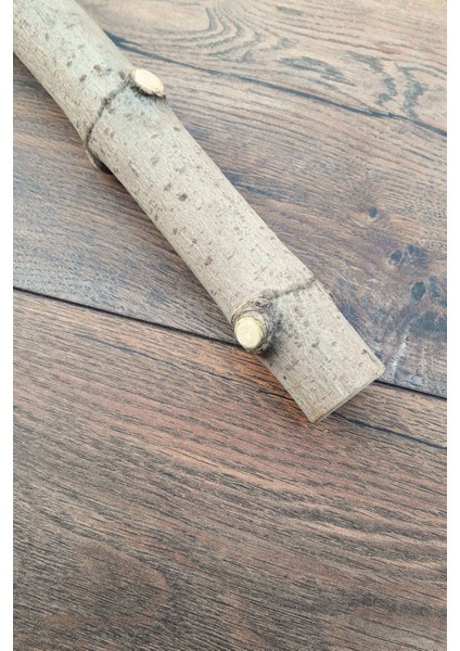 Venty 24 cm Doğal Papağan Tüneği | Macaw, Kakadu, Jako, Amazon, Eklektus, Alexander, Kayık - T424 indirimleri