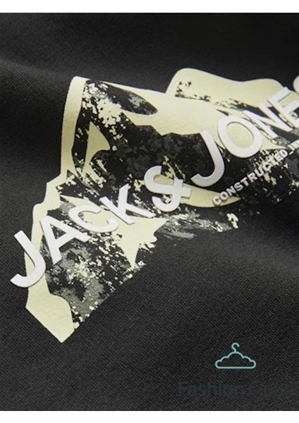 3 Iplik Erkek Sweatshirt fiyatları